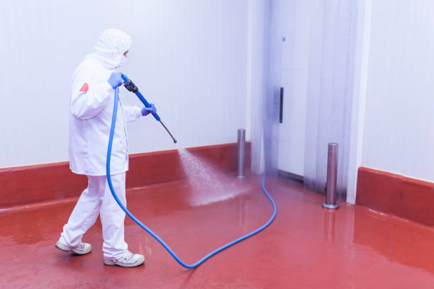 Boat and Dock Cleaning in Egypt, PA